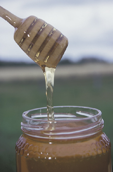 mierea de albine