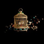 Chanel Golden Cage